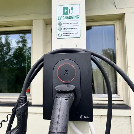 In With Free Parking Alta